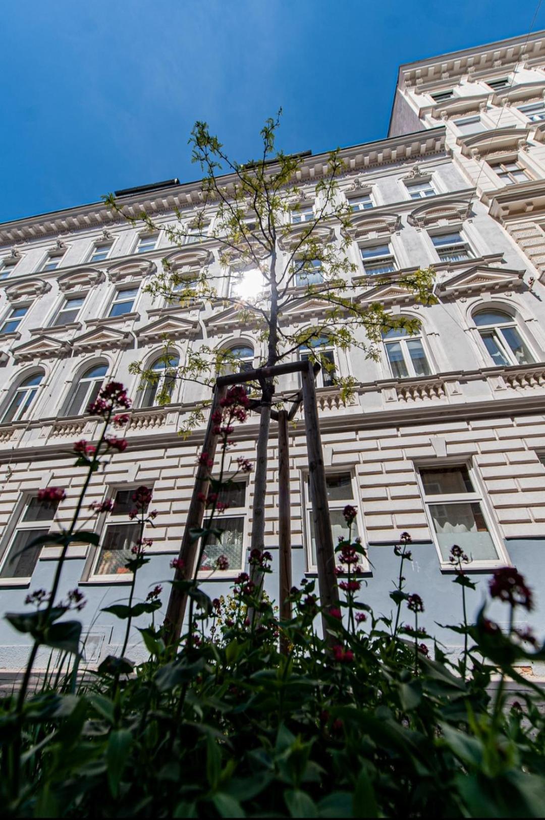 Vienna My City Apartment 1 Bedroom מראה חיצוני תמונה