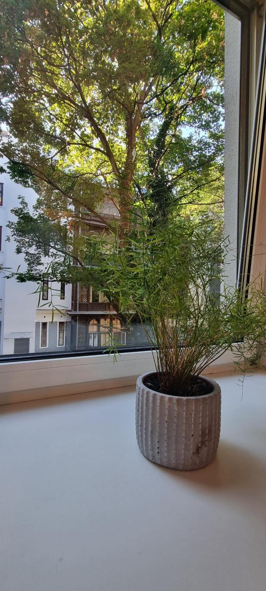 Vienna My City Apartment 1 Bedroom מראה חיצוני תמונה